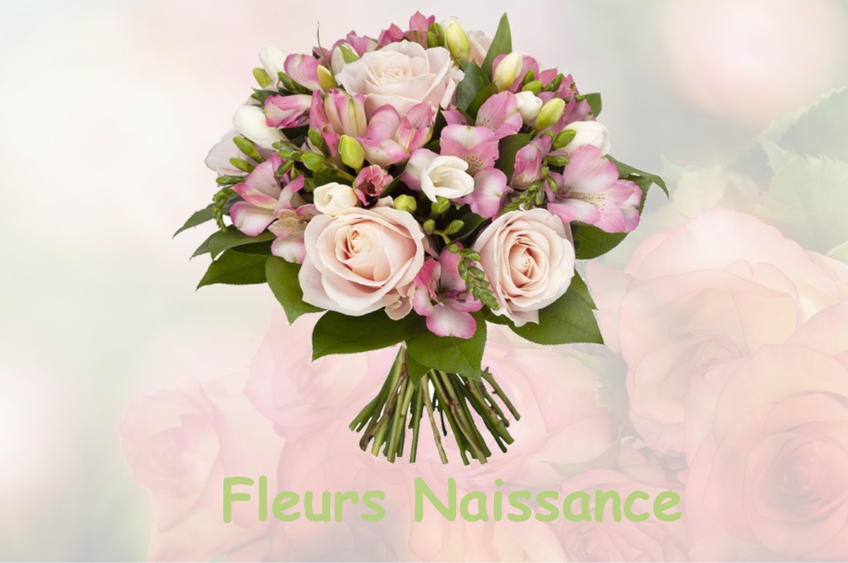 fleurs naissance CHENE-BERNARD