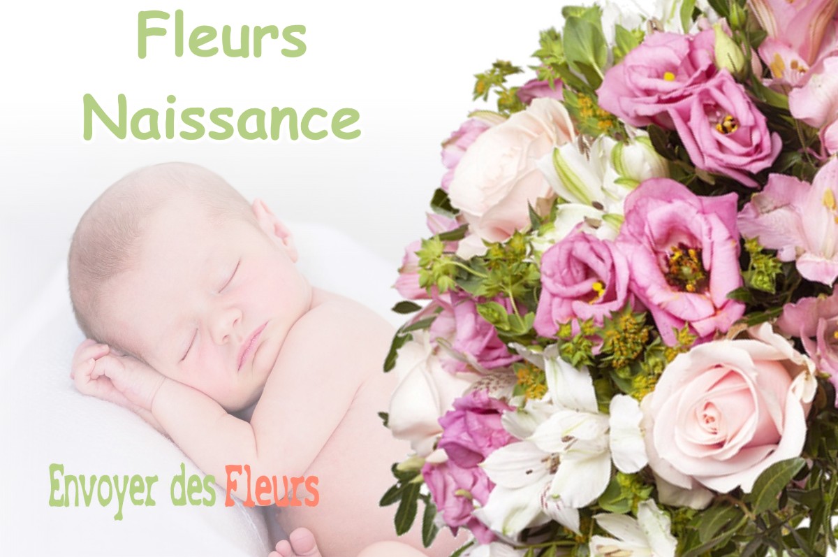 lIVRAISON FLEURS NAISSANCE à CHENE-BERNARD